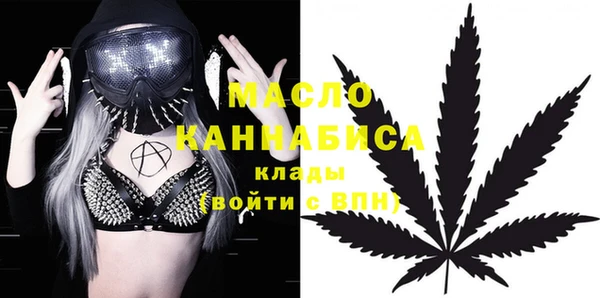молекула духа Богородицк