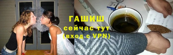 молекула духа Богородицк