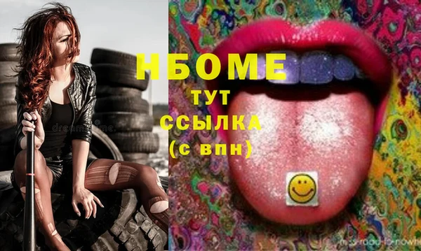 молекула духа Богородицк