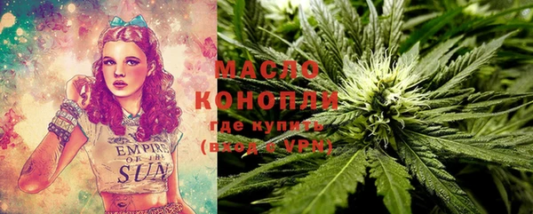 молекула духа Богородицк