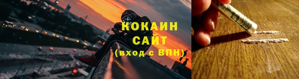 соль ск Белокуриха