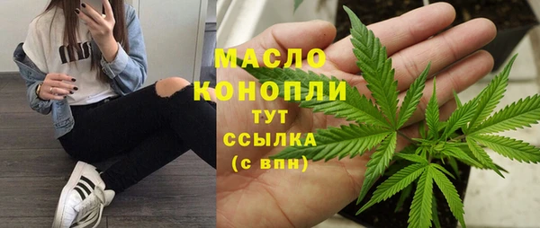 молекула духа Богородицк
