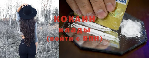 спиды Богородск