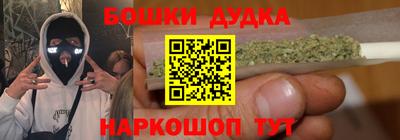 индика Бийск