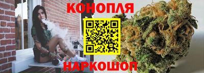 индика Бийск
