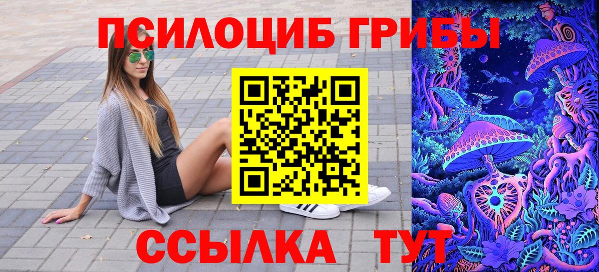 наркота  Галлюциногенные грибы Psilocybine cubensis  Вход с VPN  Вязники  Псилоцибиновые грибы MAGIC MUSHROOMS 