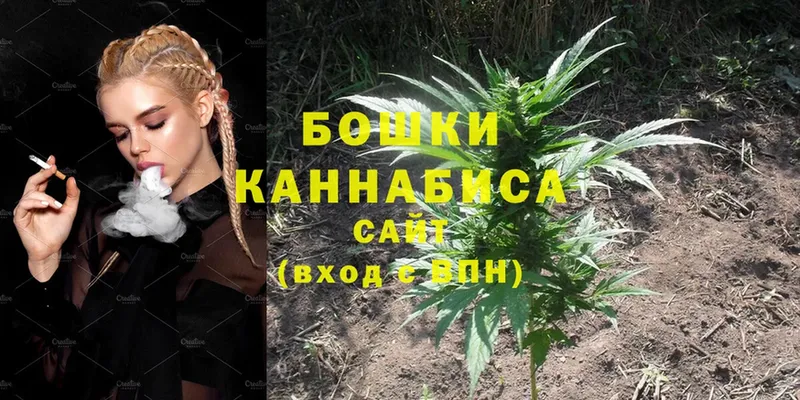 купить наркоту  Вязники  Бошки Шишки Ganja 