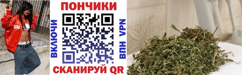 МАРИХУАНА SATIVA & INDICA  маркетплейс какой сайт  Вязники 